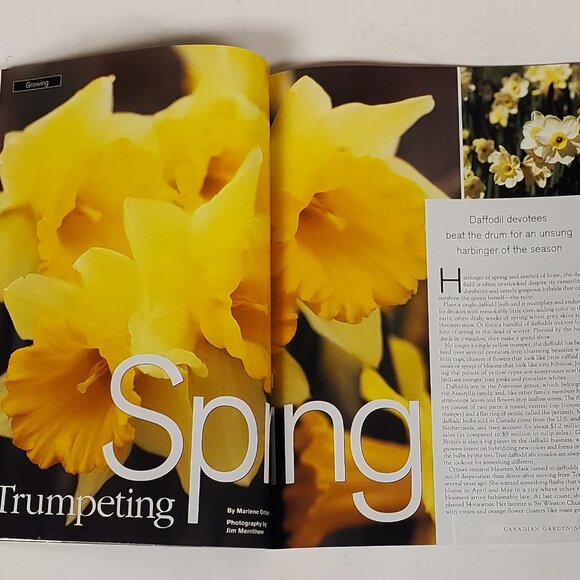 Vintage Canadian Gardening Magazine April 1998 Spring Issue Tulips Roses VG - Picture 5 of 6